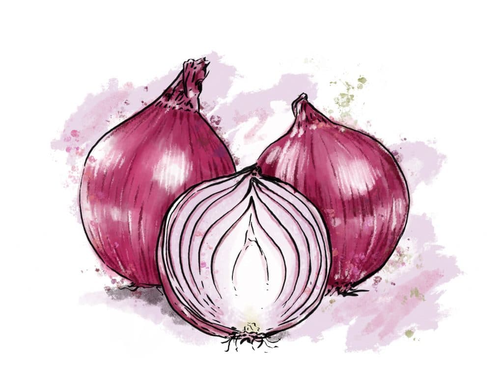 Onions from Riverbend Gardens, Edmonton Alberta